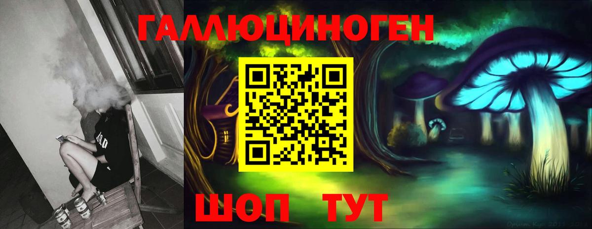 Сунжа  Псилоцибиновые грибы Psilocybe  Псилоцибиновые грибы GOLDEN TEACHER  Вход с VPN 