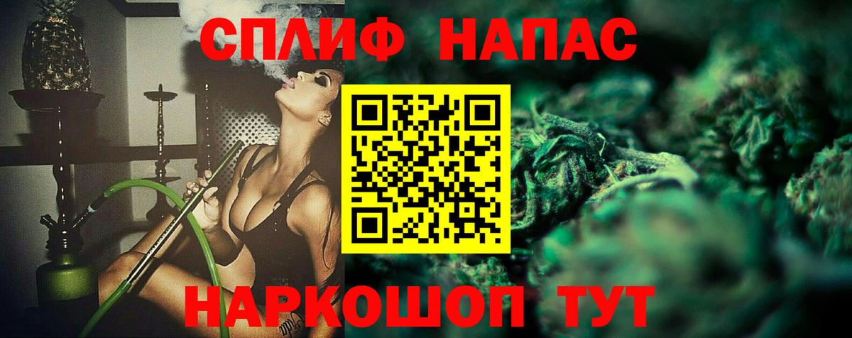 Бошки Шишки план Сунжа